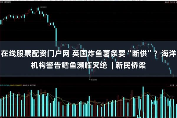 在线股票配资门户网 英国炸鱼薯条要“断供”？海洋机构警告鳕鱼濒临灭绝  | 新民侨梁
