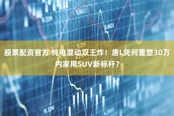 股票配资官方 纯电混动双王炸！唐L凭何重塑30万内家用SUV新标杆？