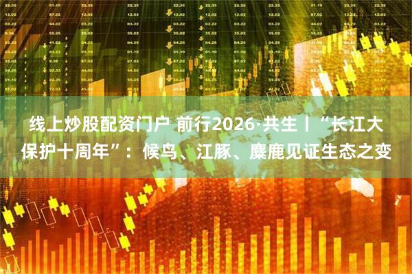 线上炒股配资门户 前行2026·共生丨“长江大保护十周年”：候鸟、江豚、麋鹿见证生态之变