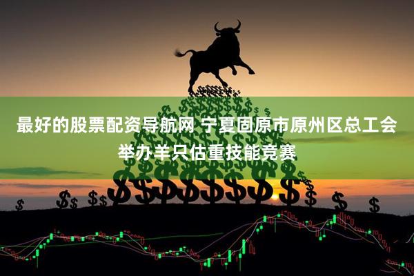 最好的股票配资导航网 宁夏固原市原州区总工会举办羊只估重技能竞赛